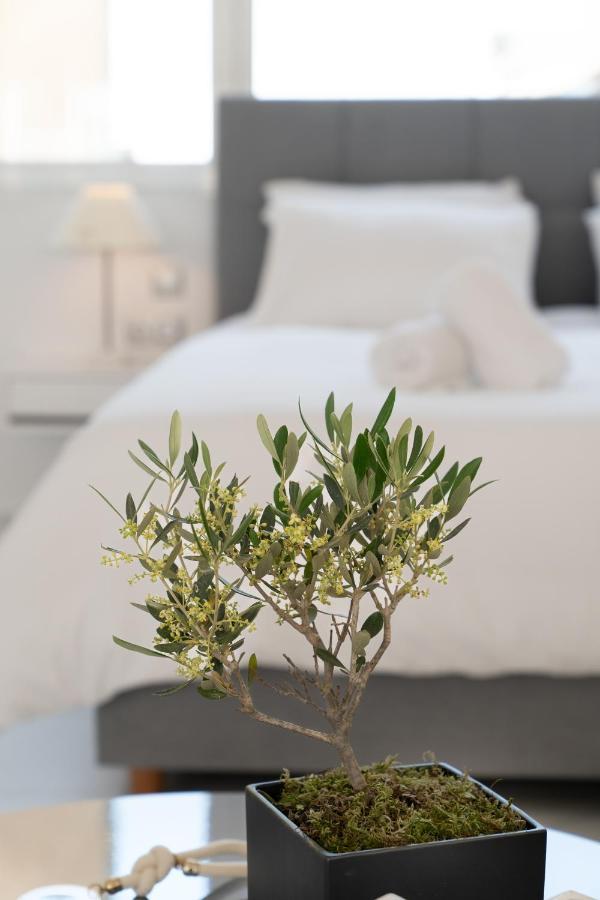 Olvar Suites Athens Exterior photo